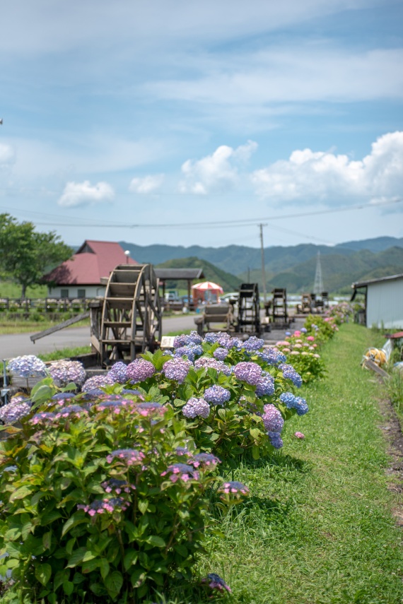 田園風景に囲まれて！安並の水車 | どっぷり高知旅