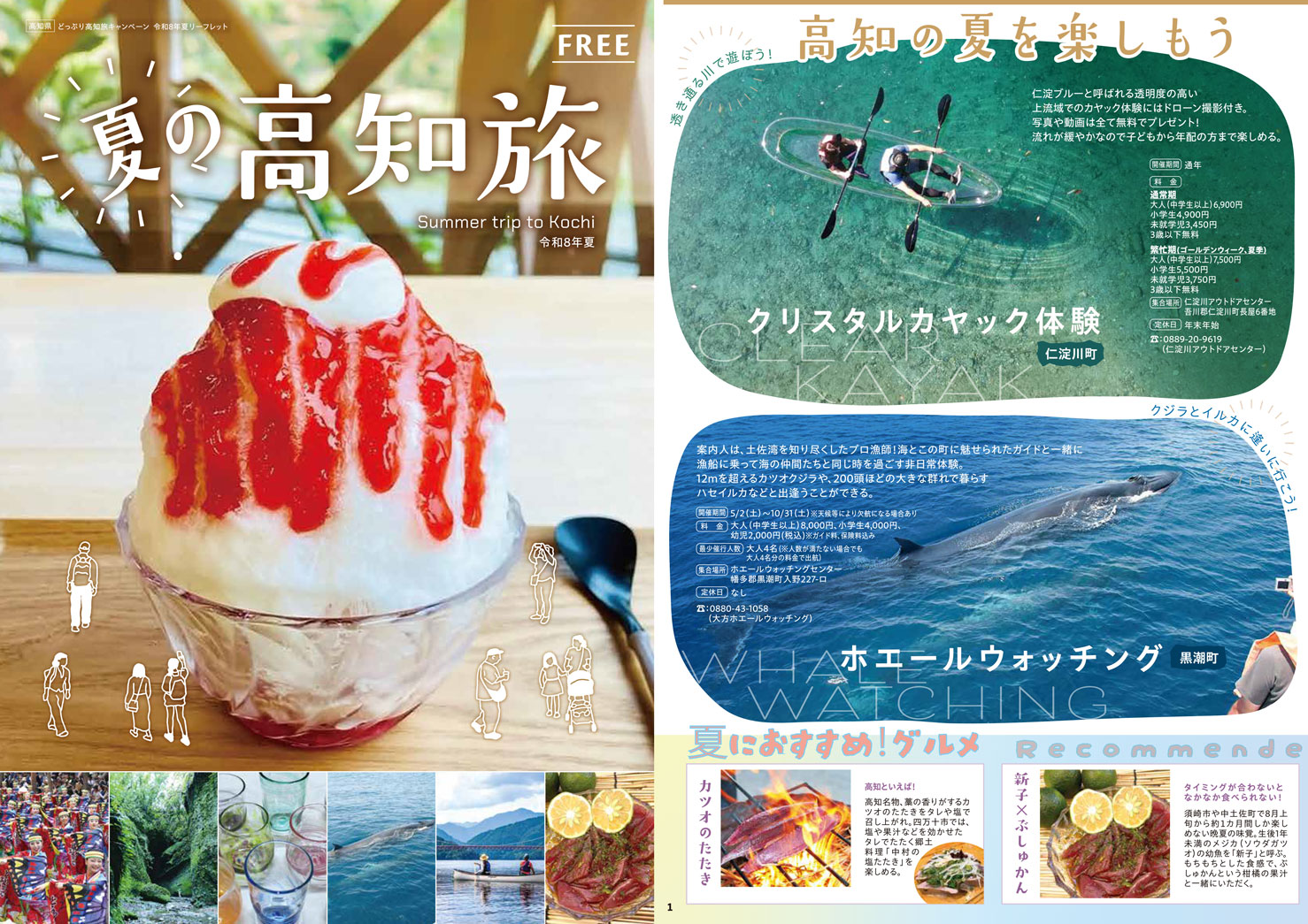 パンフレット | どっぷり高知旅