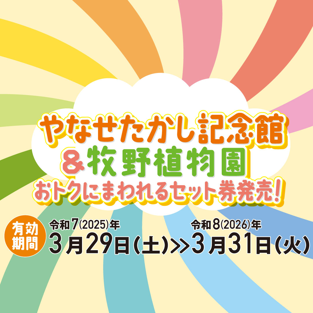 セット券